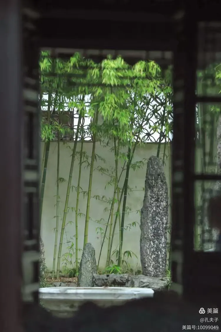 西窗下，风摇翠竹。